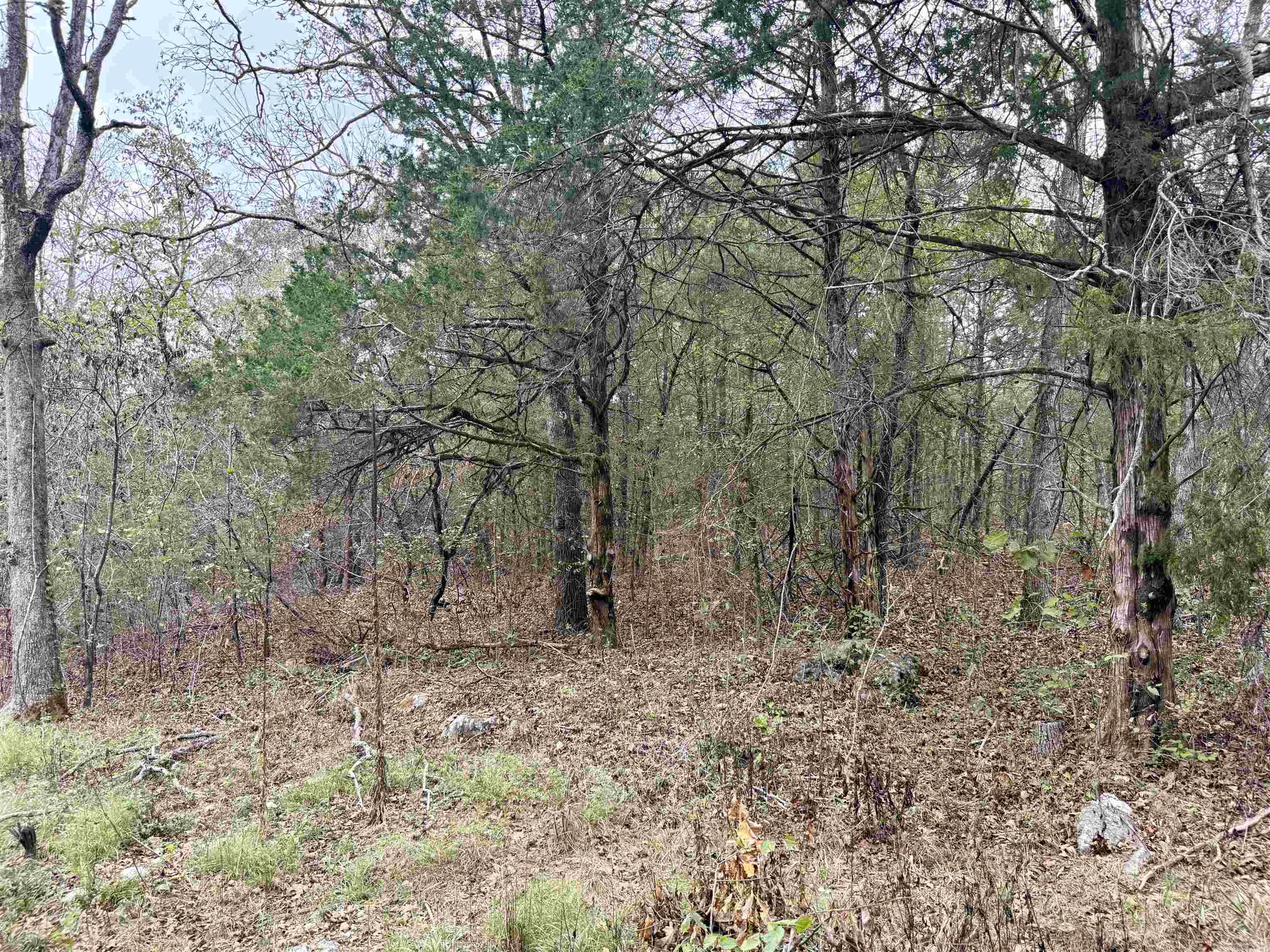 702 Fox Run Trail