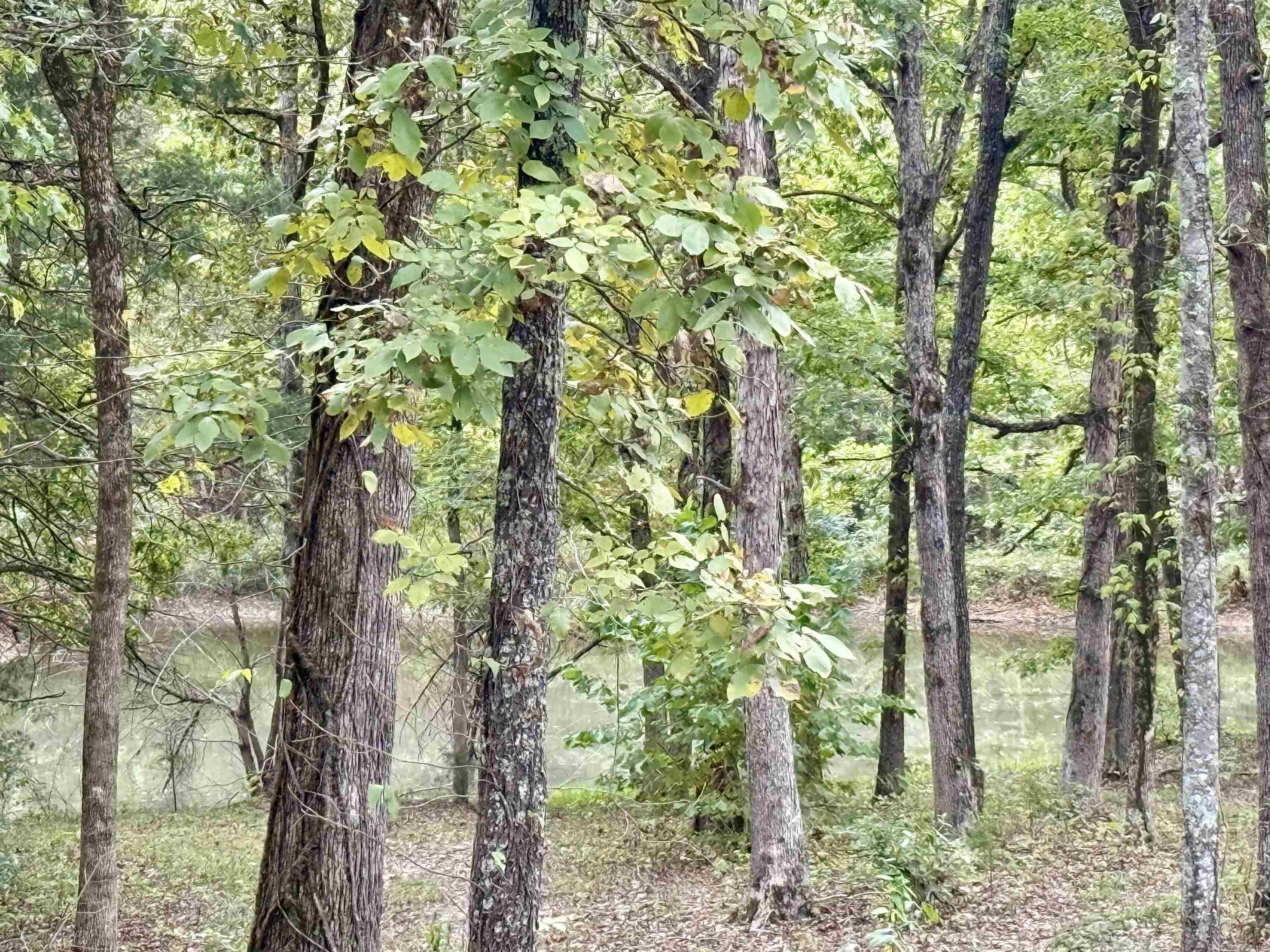 702 Fox Run Trail