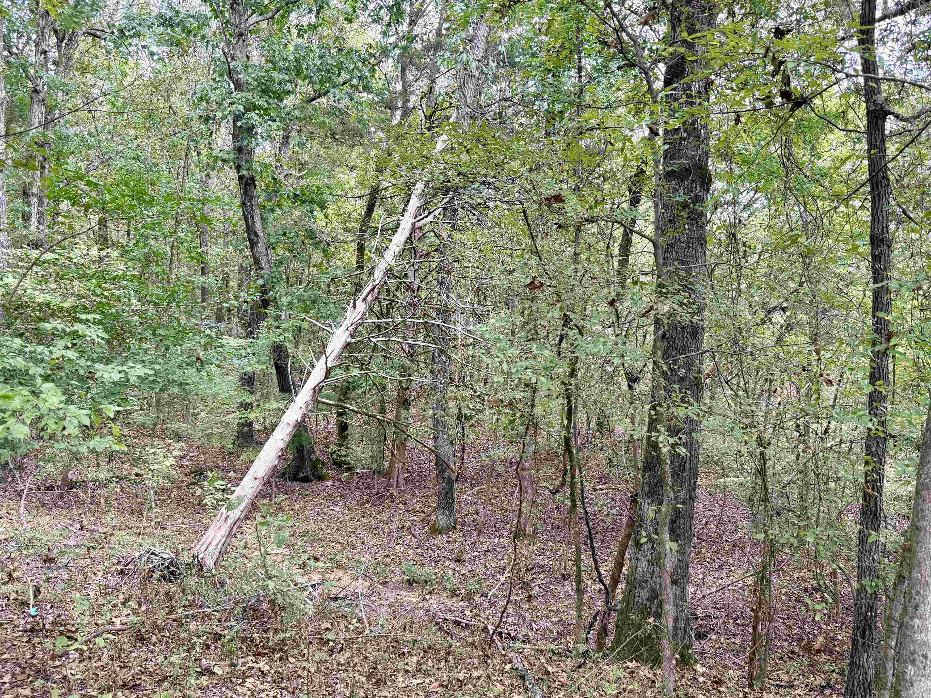 702 Fox Run Trail