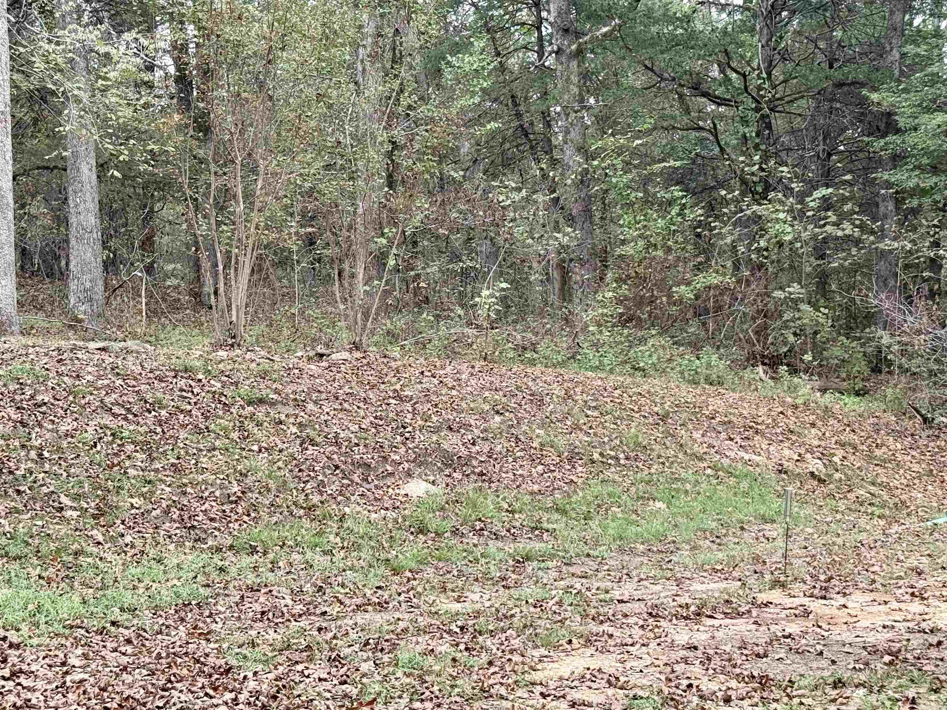 702 Fox Run Trail