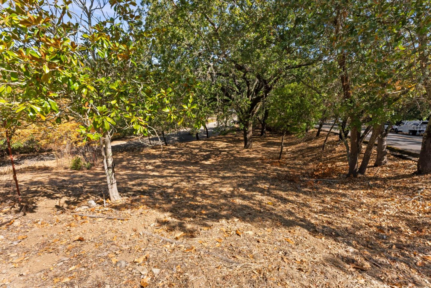 16099 Greenwood RD