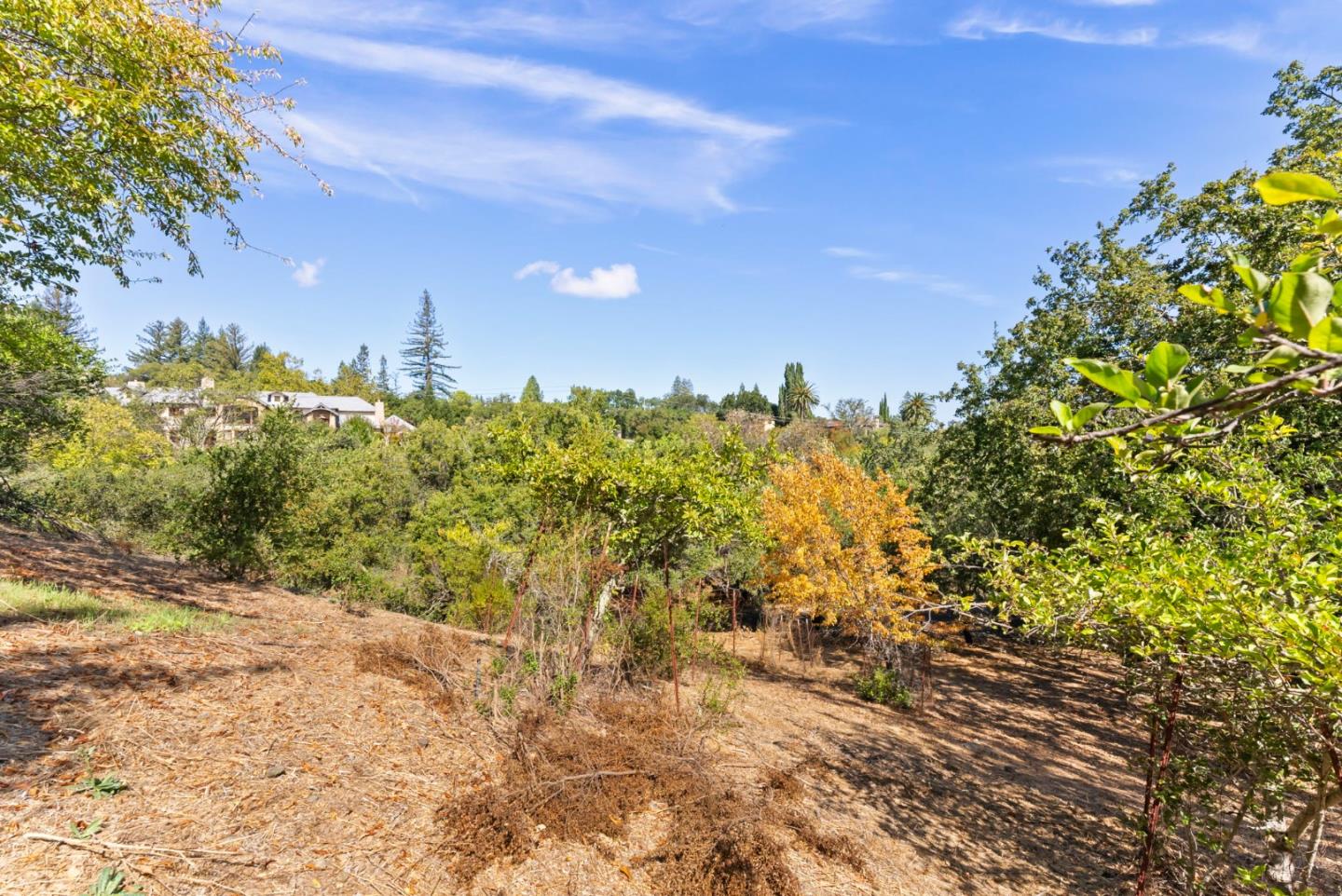 16099 Greenwood RD