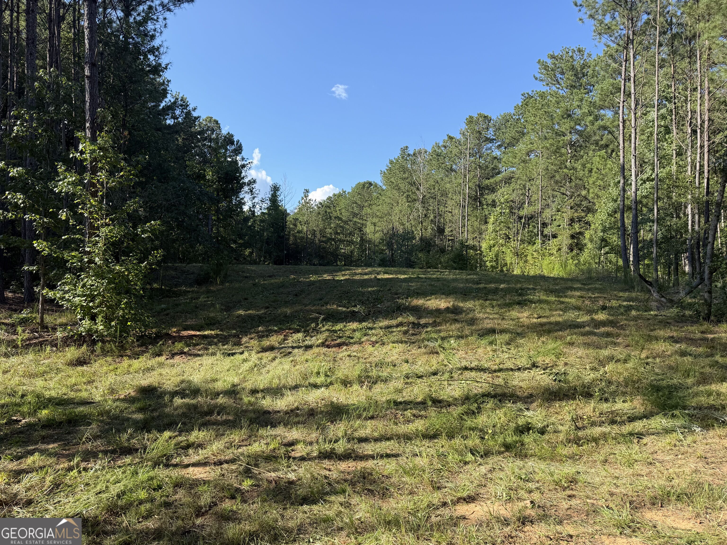 Grassy clearing on a wooded lot, bordered by mature trees.