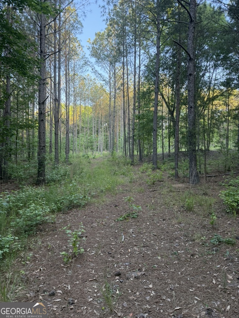 0 Old Rico Rd