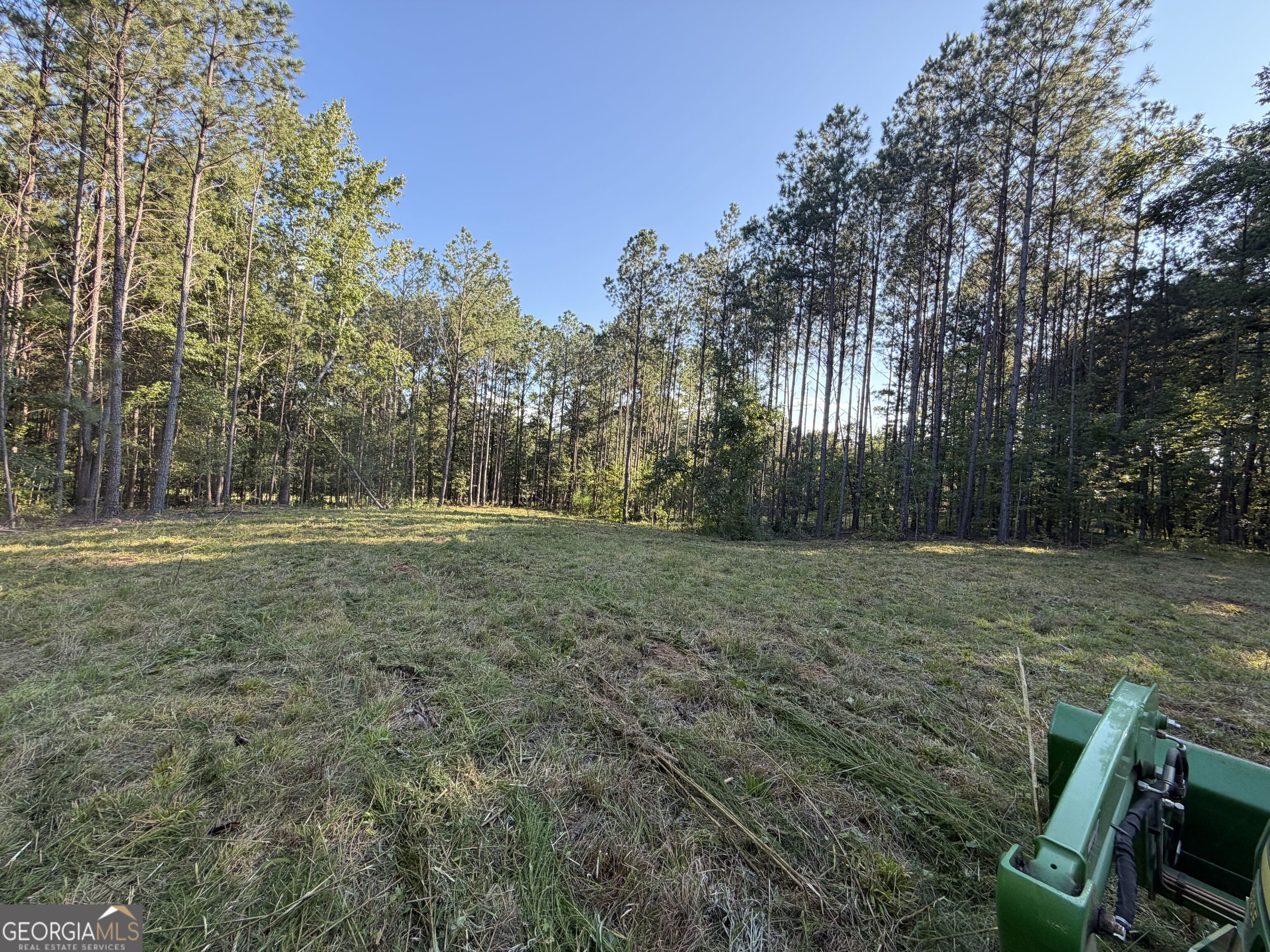 Grassy clearing on a wooded lot, with tall trees around the perimeter and a green tractor at the edge.