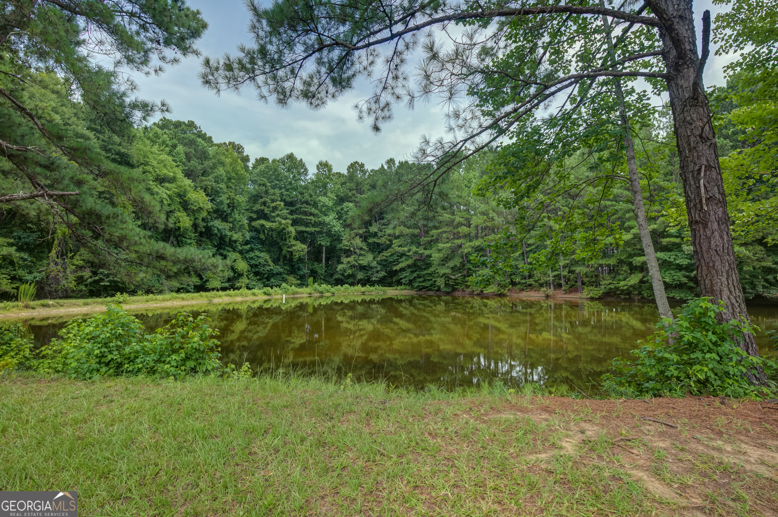 260 Lamar Smith Drive