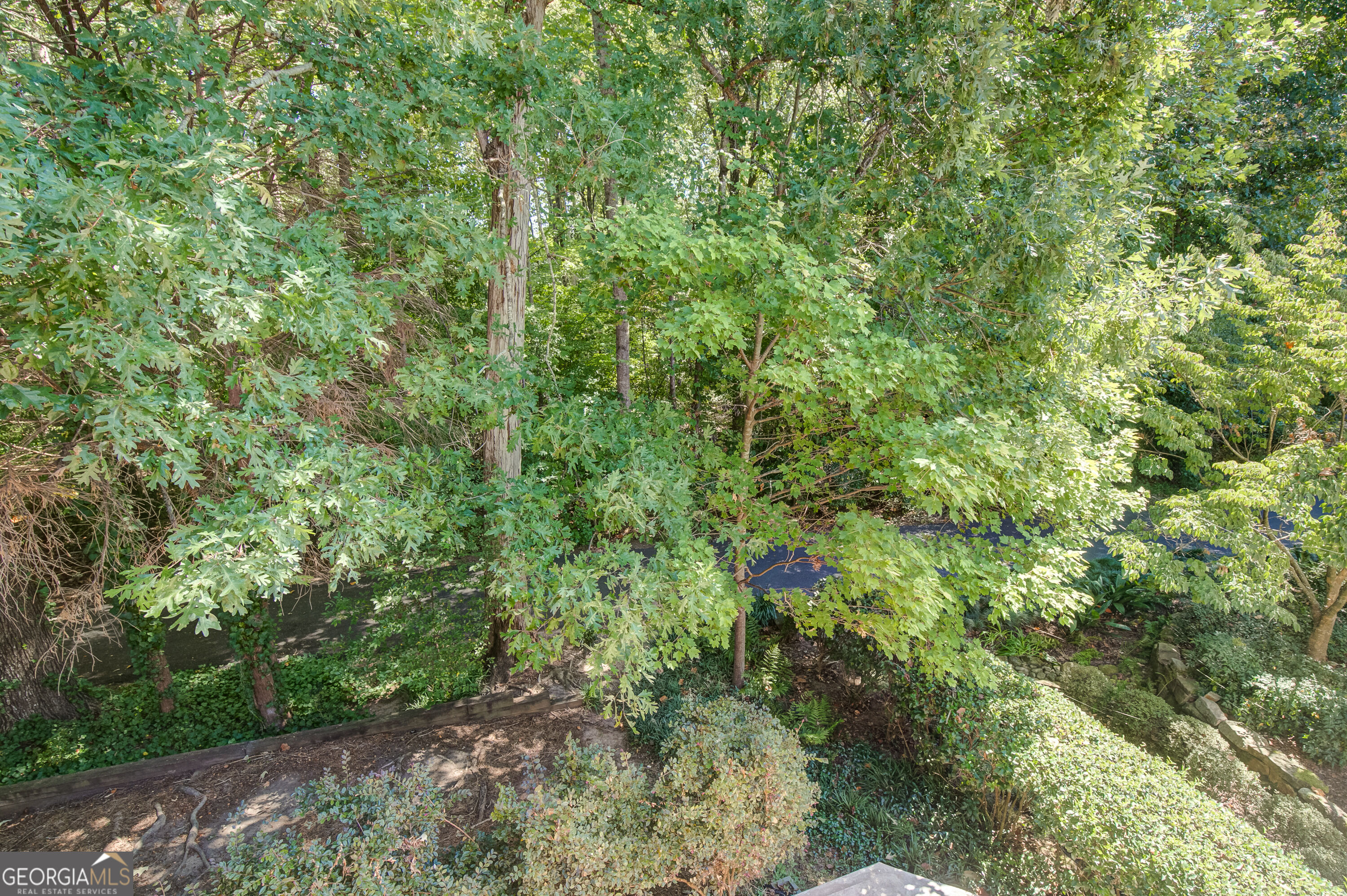121 Augusta Drive # 11