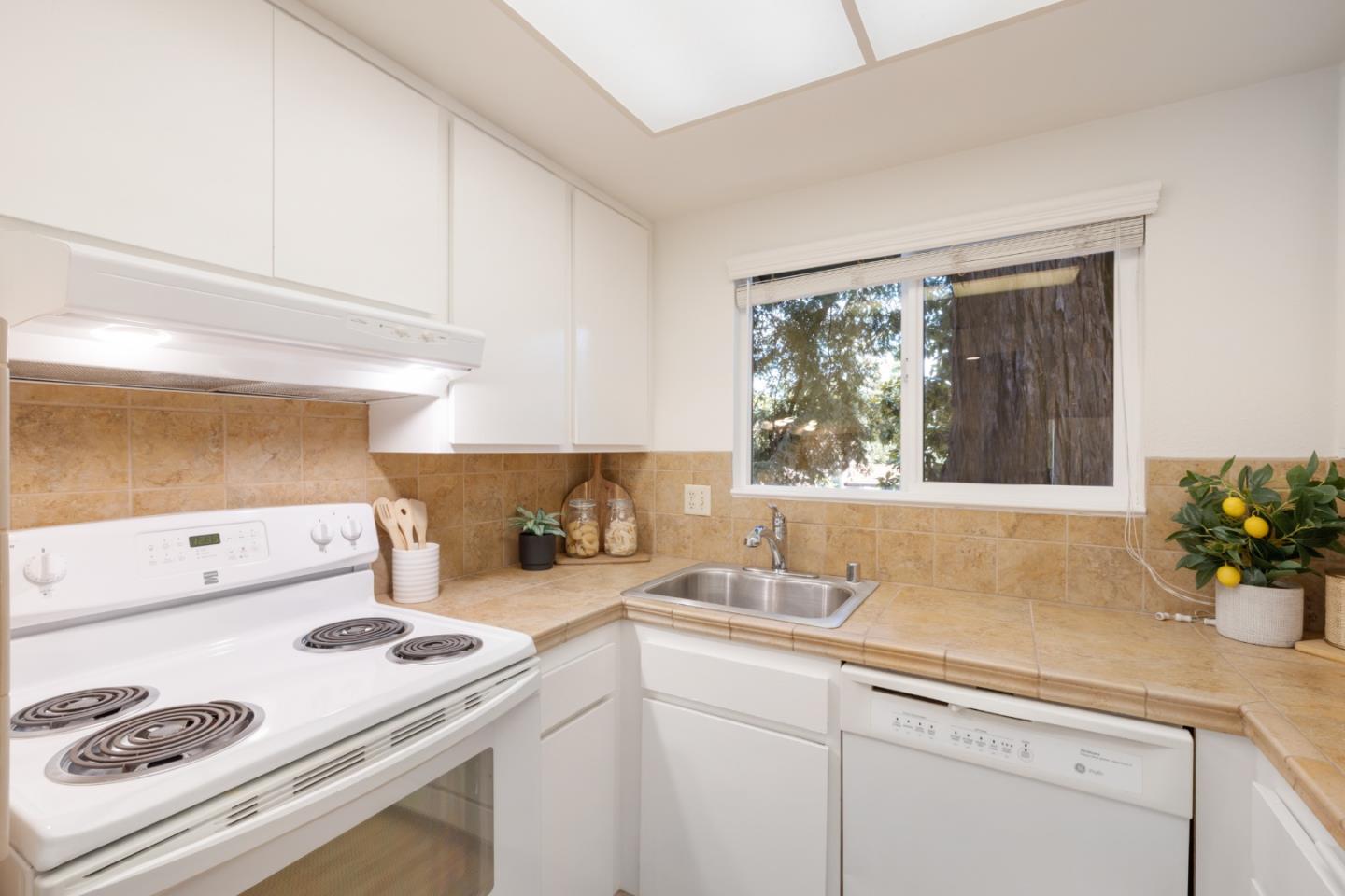 1001 East Evelyn Terrace 110
