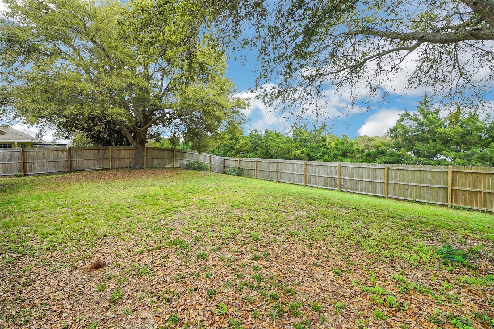 4511 ABACO DR