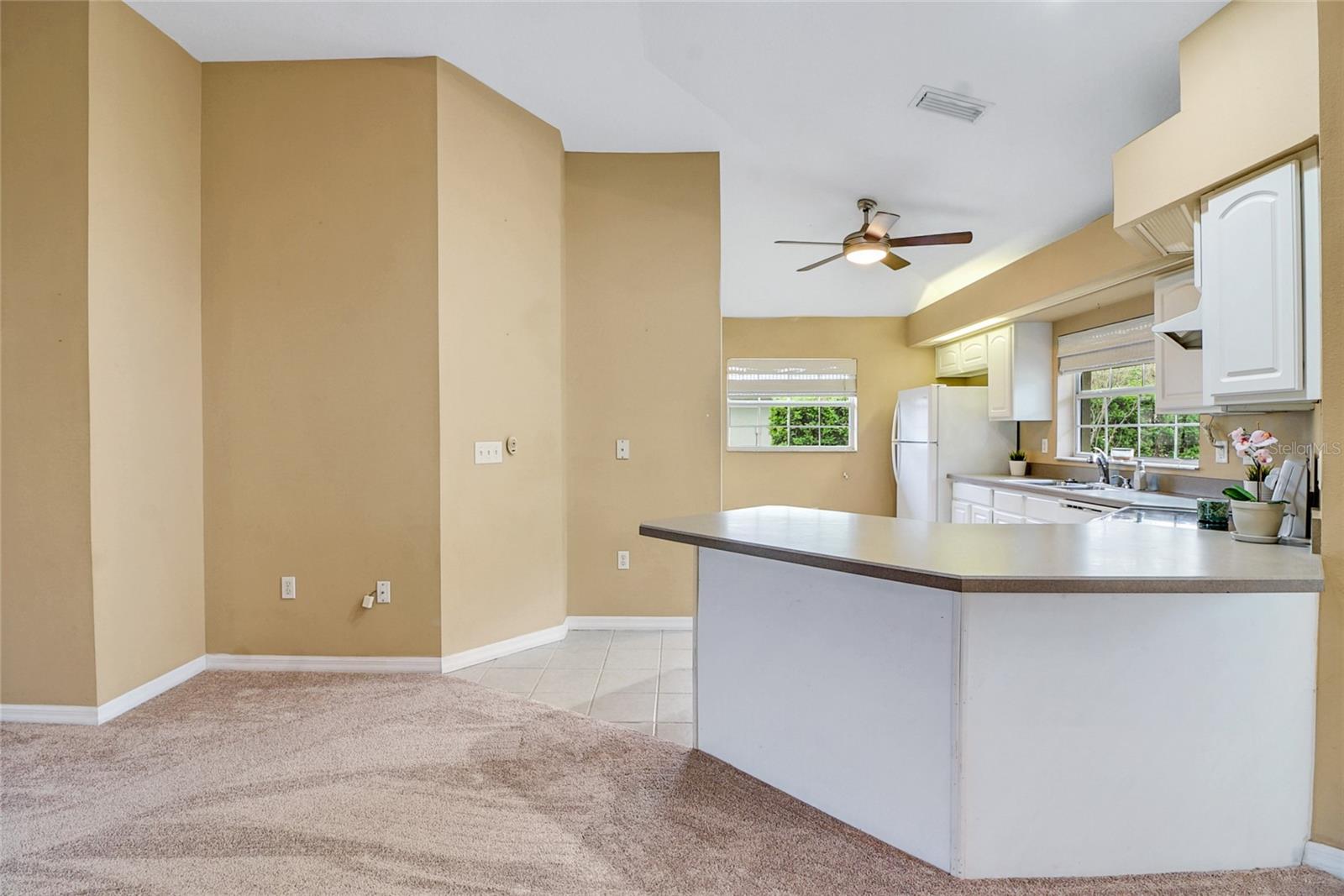 4511 ABACO DR