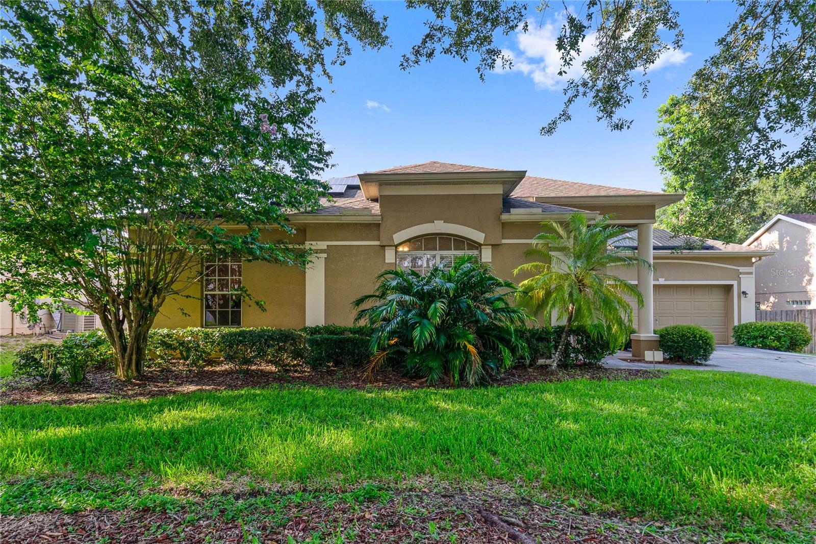 645 STRIHAL LOOP