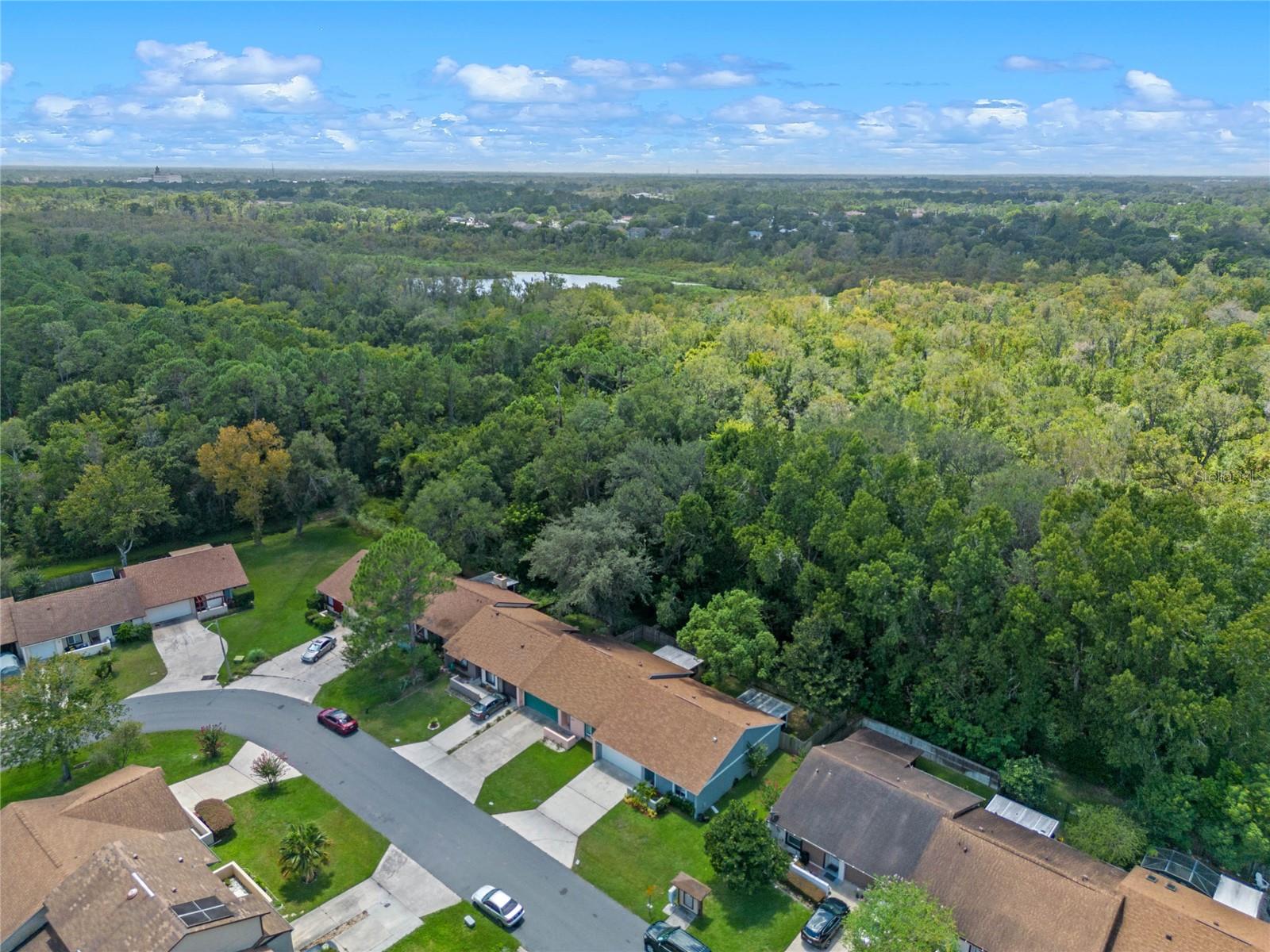 118 LONG LEAF PINE CIR