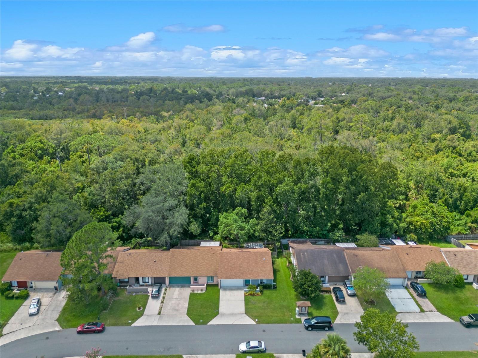 118 LONG LEAF PINE CIR