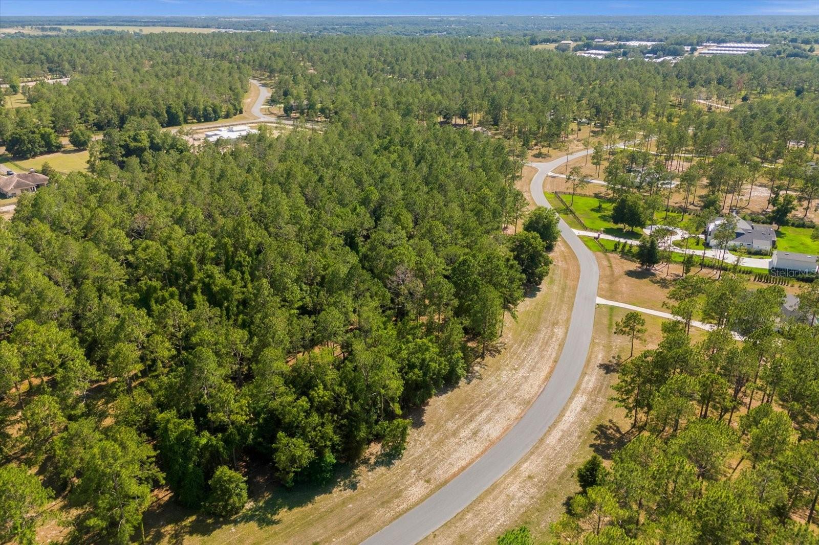 24120 GREENWOOD XING