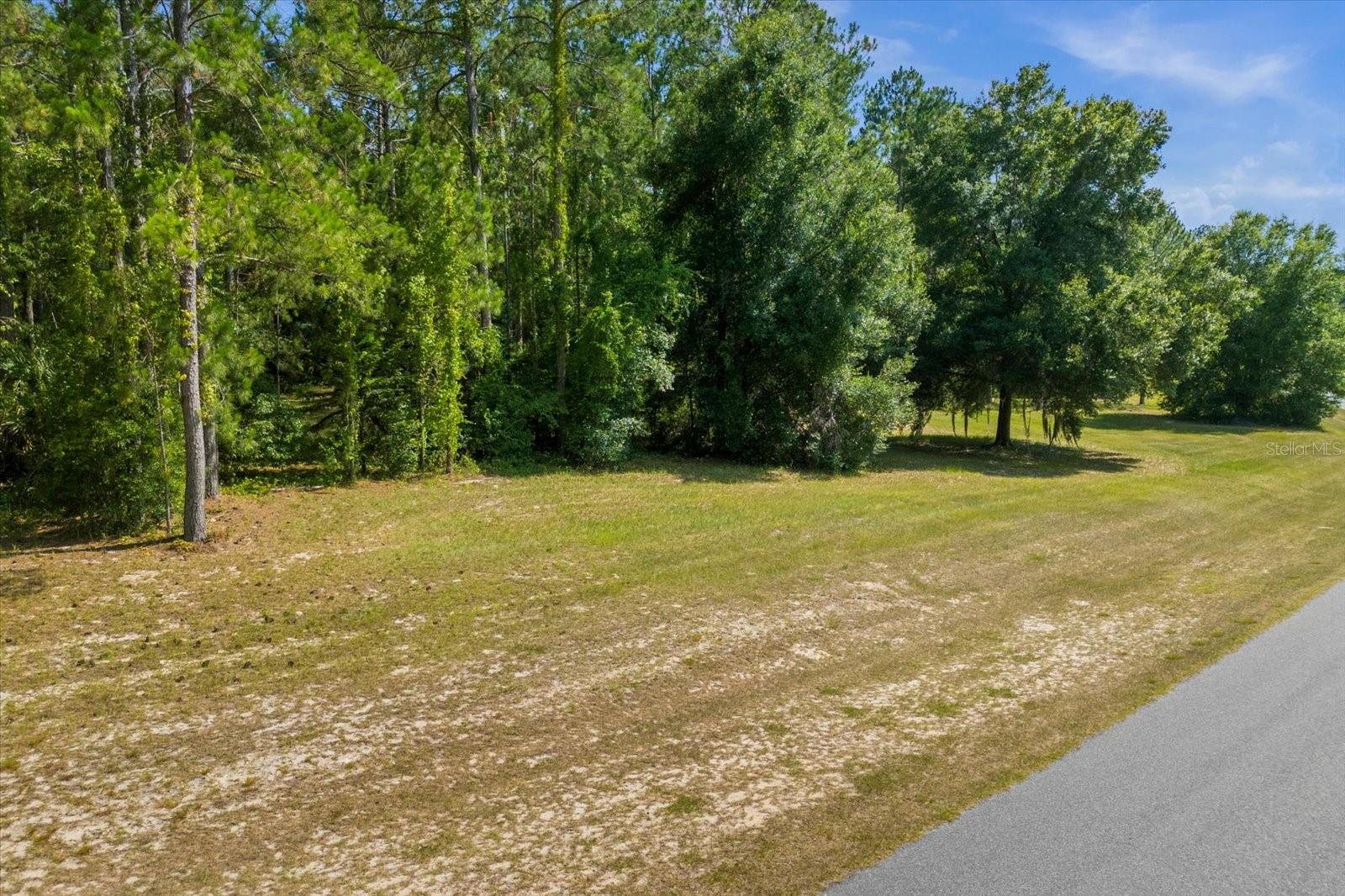 24120 GREENWOOD XING