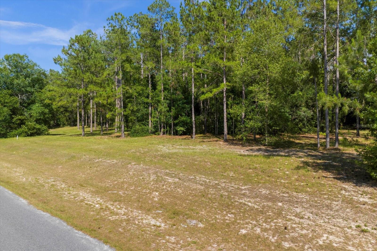 24120 GREENWOOD XING