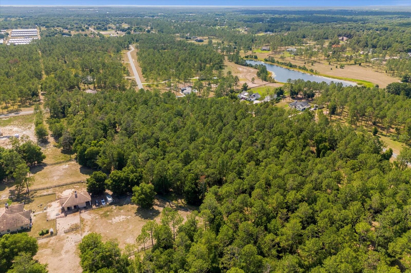 24120 GREENWOOD XING