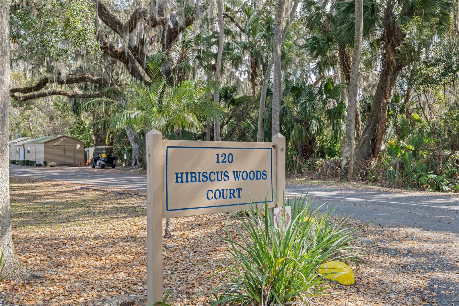 120 HIBISCUS WOODS CT #13B