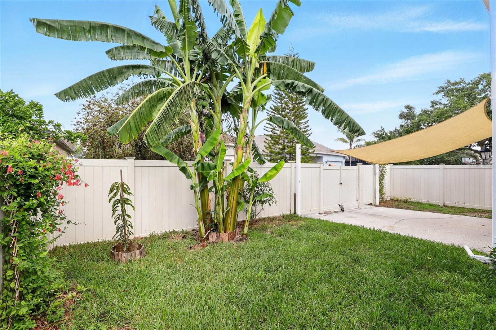 2718 SILVER RIVER TRL