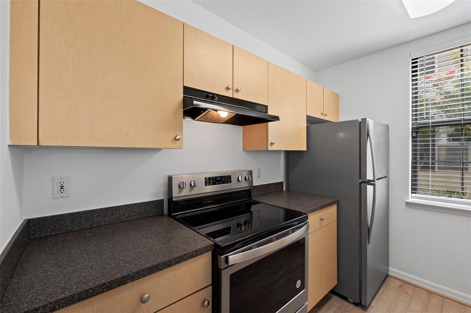 710 SIENA PALM DR #102