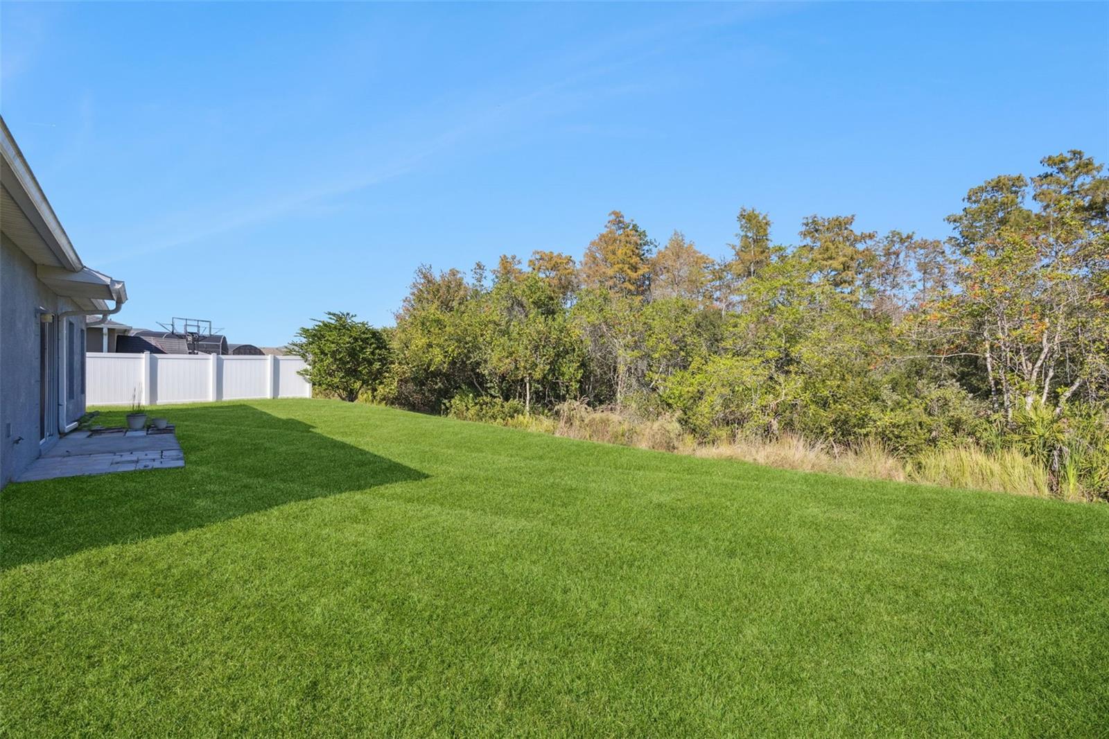 3153 QUEEN ALEXANDRIA DR