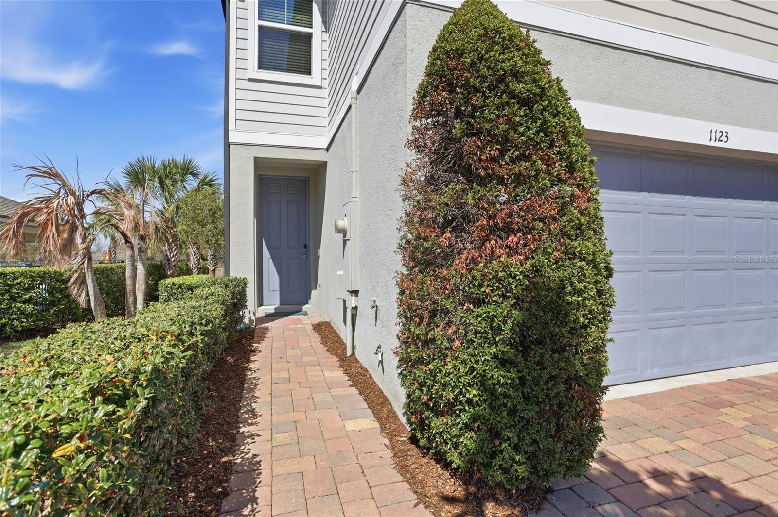 1123 DESERT CANDLE DR