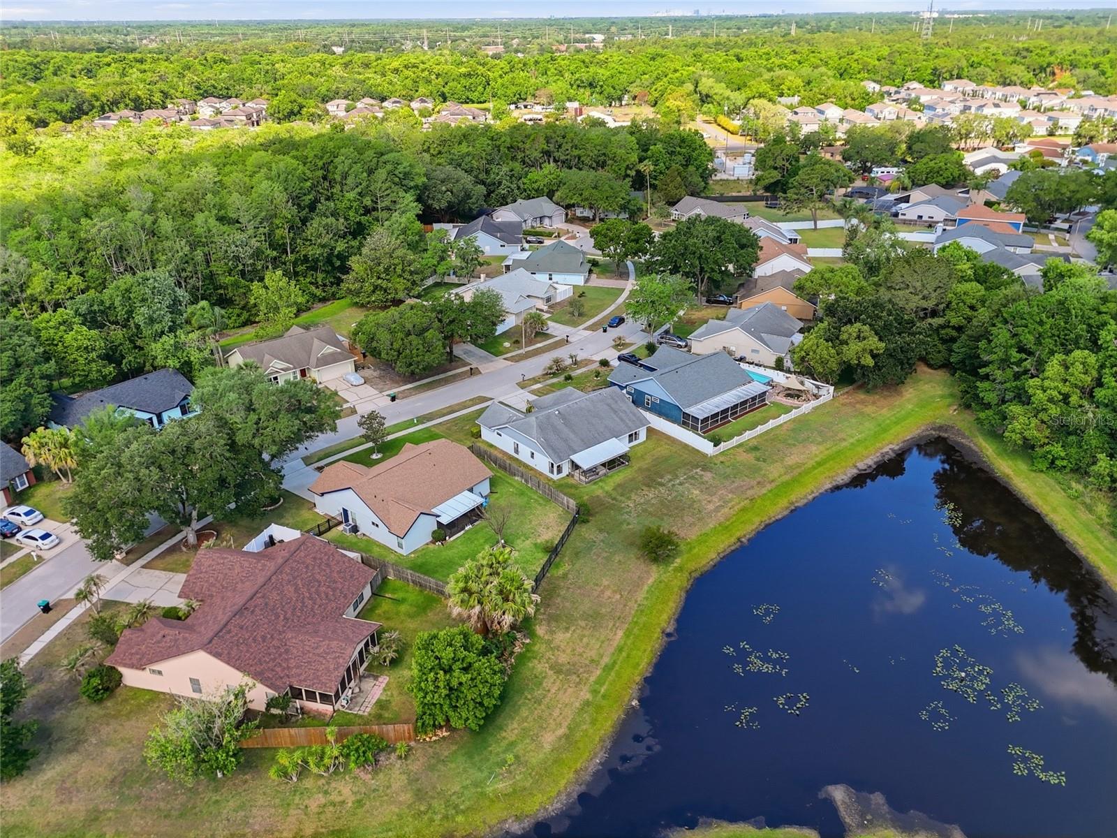 10137 PINK CARNATION CT
