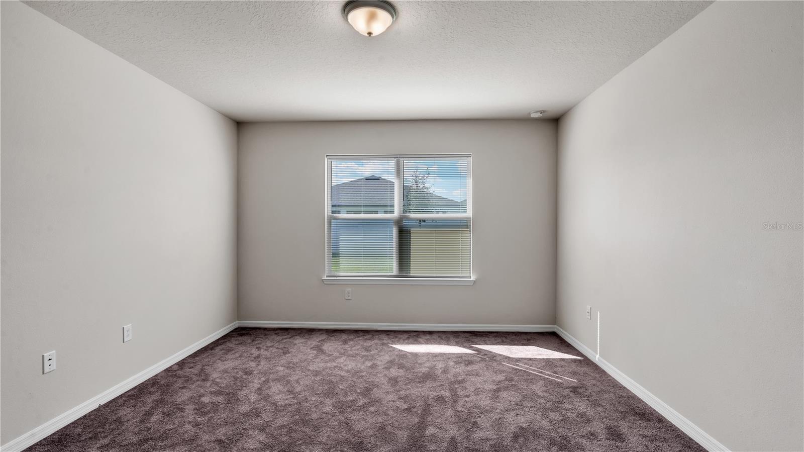 1137 MICHELANGELO LN