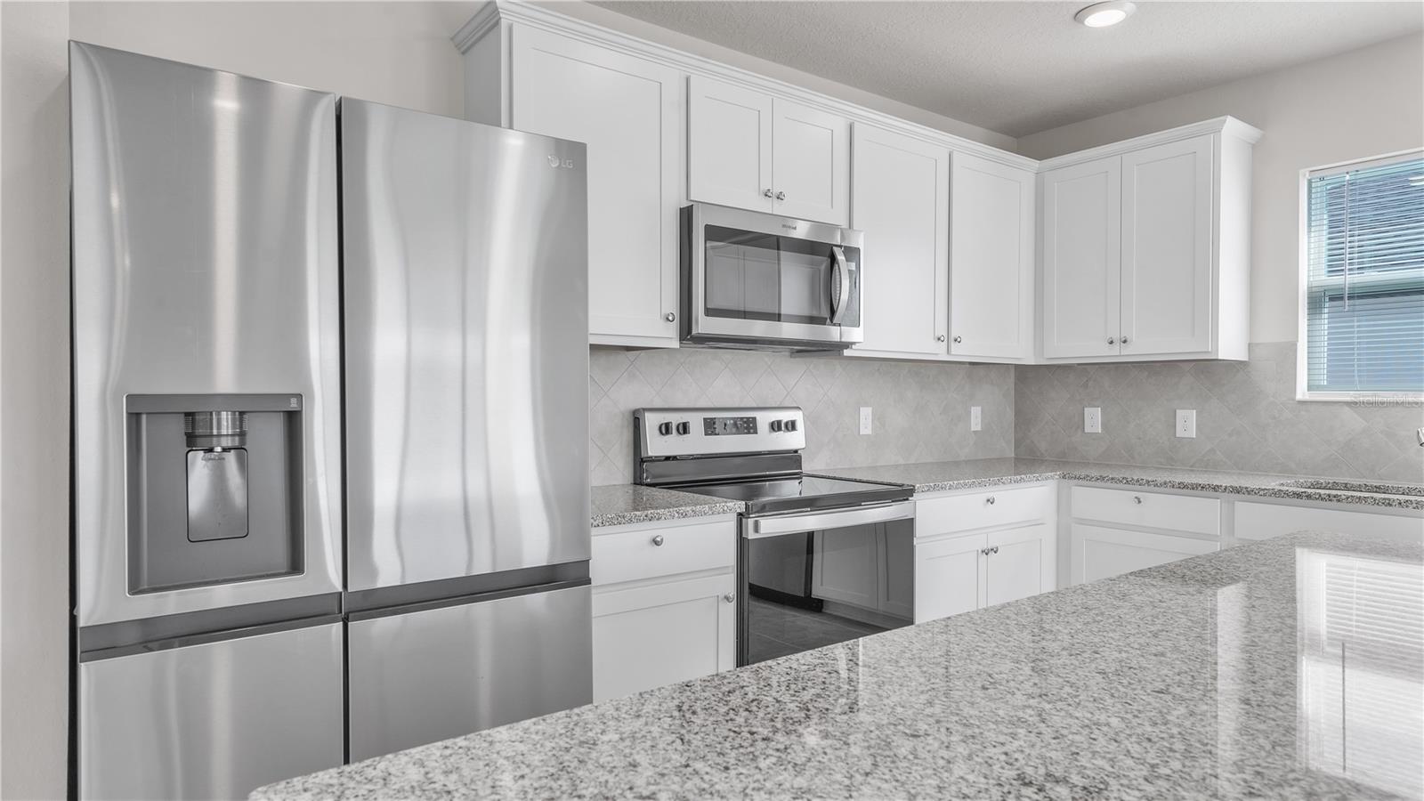 1137 MICHELANGELO LN