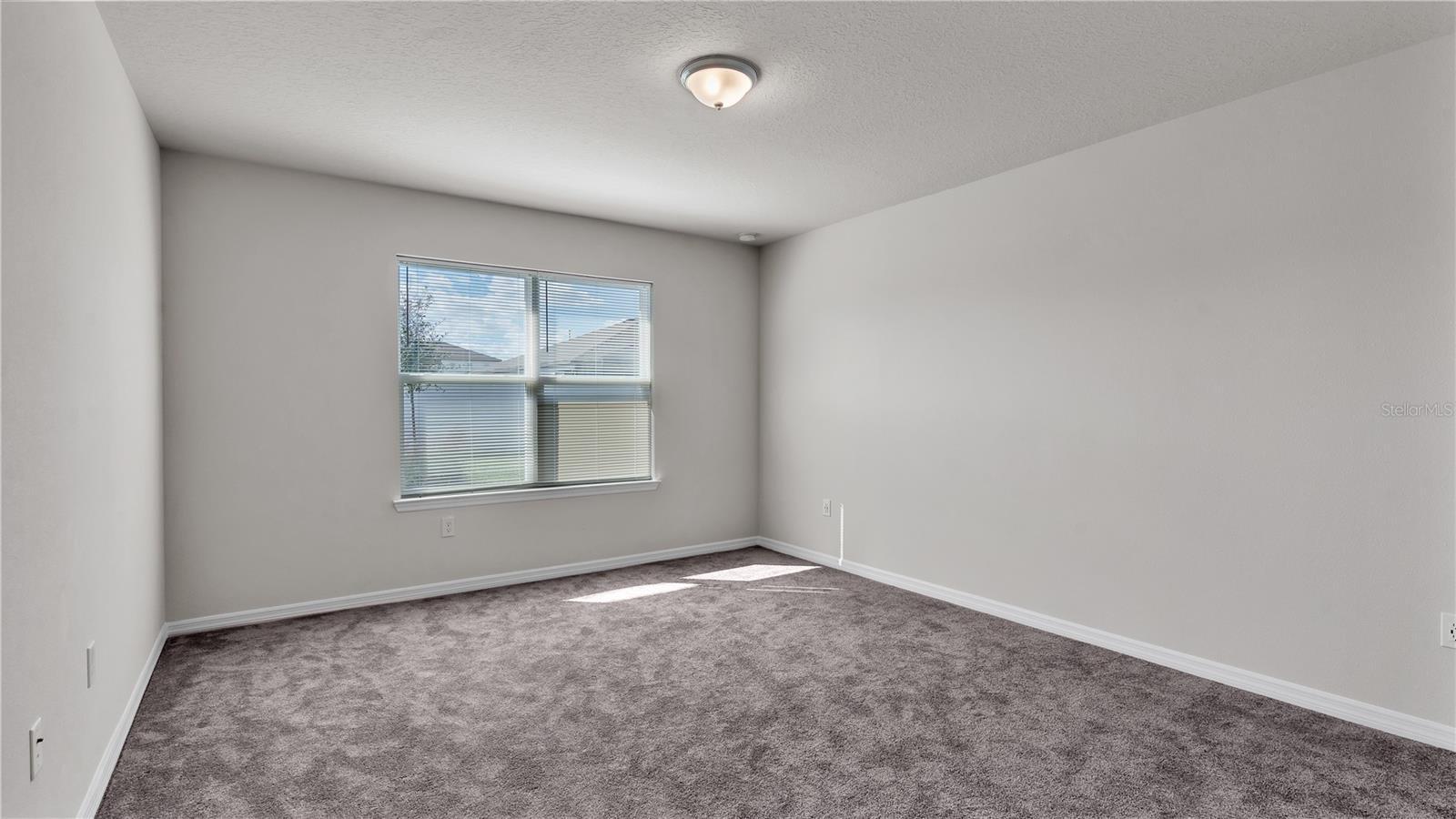 1137 MICHELANGELO LN