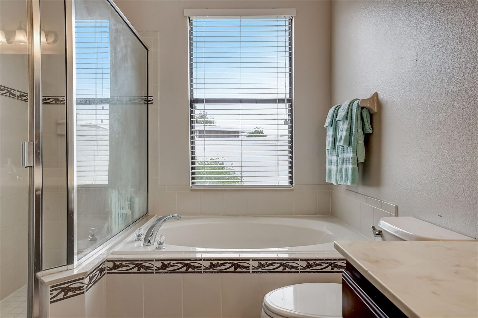 401 SAVANNAH PRESERVE LOOP