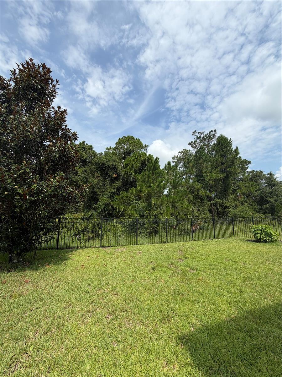 491 BRUNSWICK DR