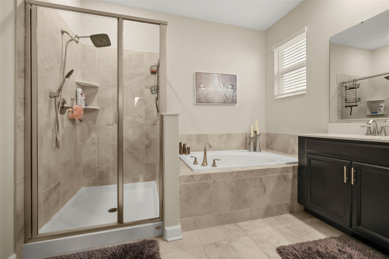 2537 CAMDEN PARK CIR