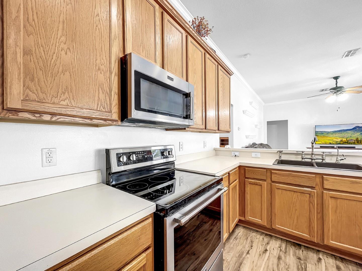 25552 RISEN STAR DR