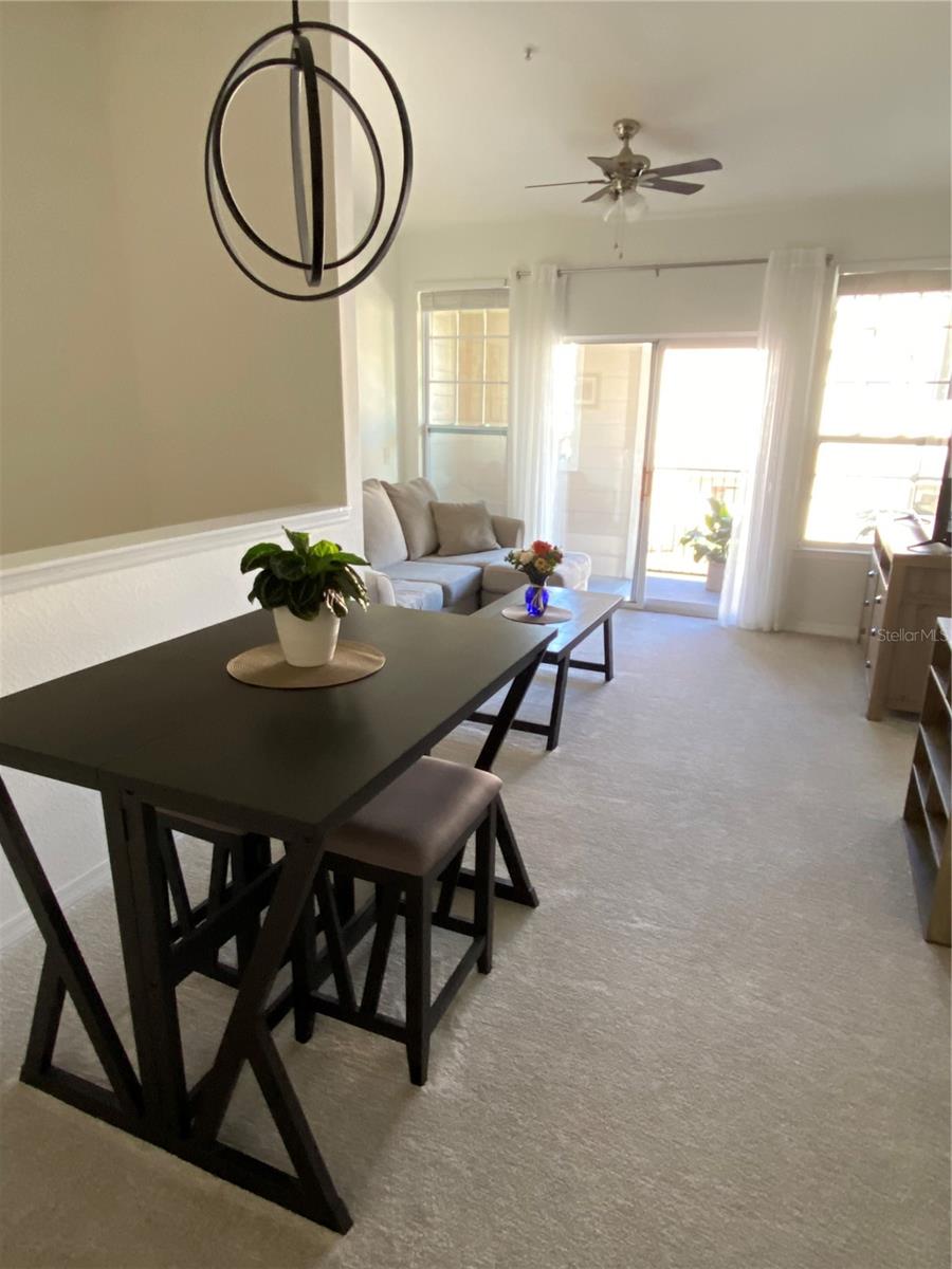 1975 ERVING CIR #106