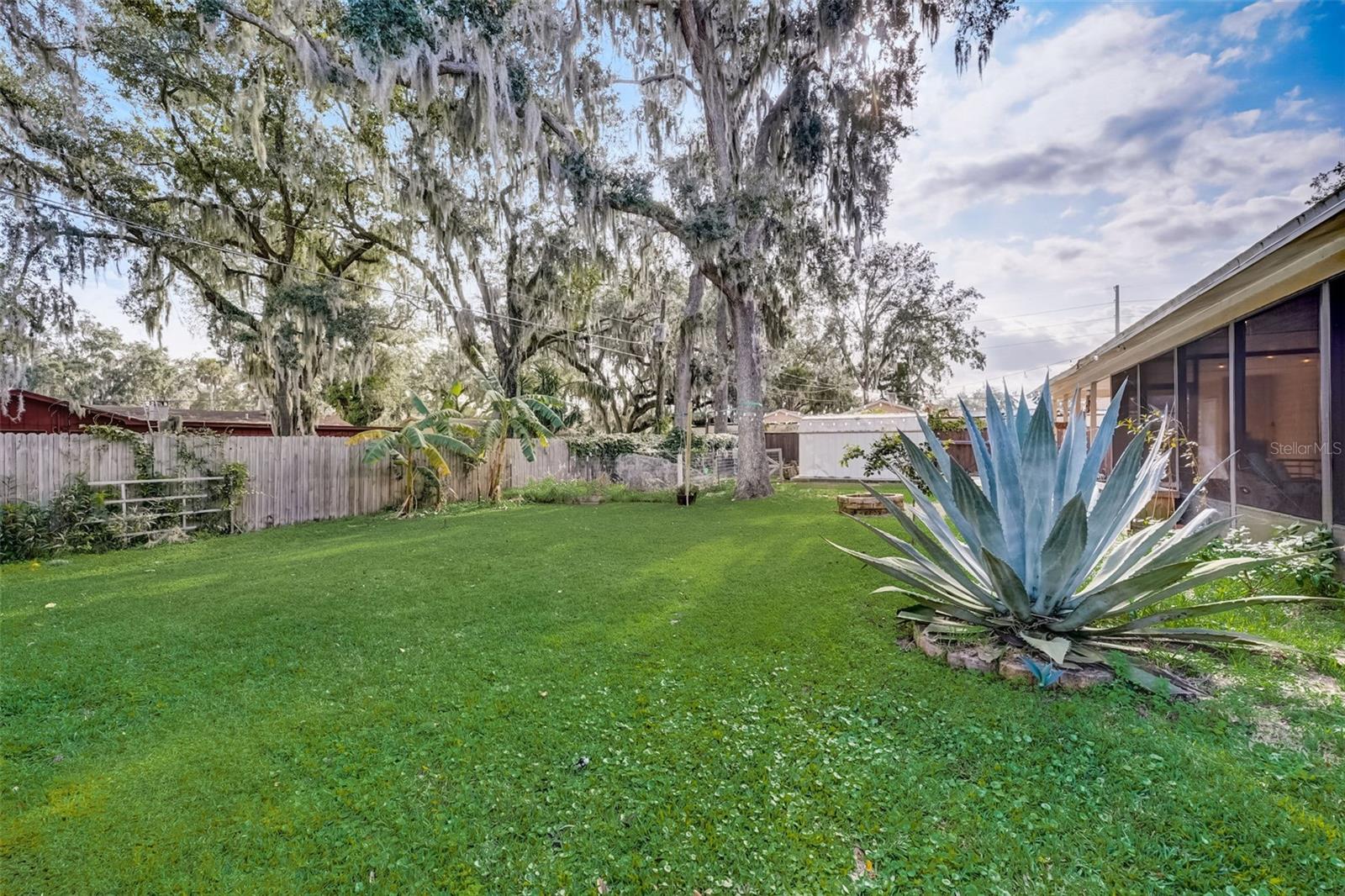 1819 NEEDLE PALM DR