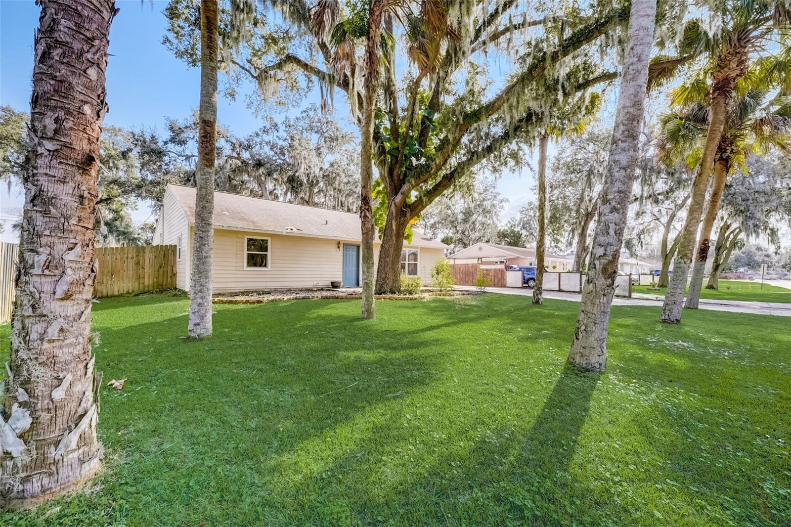 1819 NEEDLE PALM DR