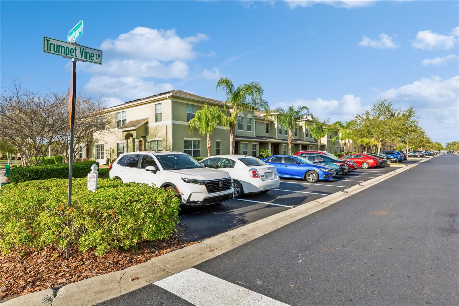 9860 TRUMPET VINE LOOP