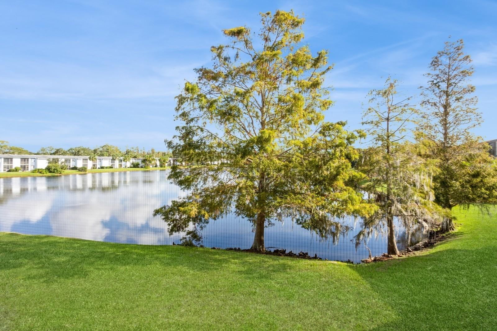 302 WOODLAKE WYNDE #3