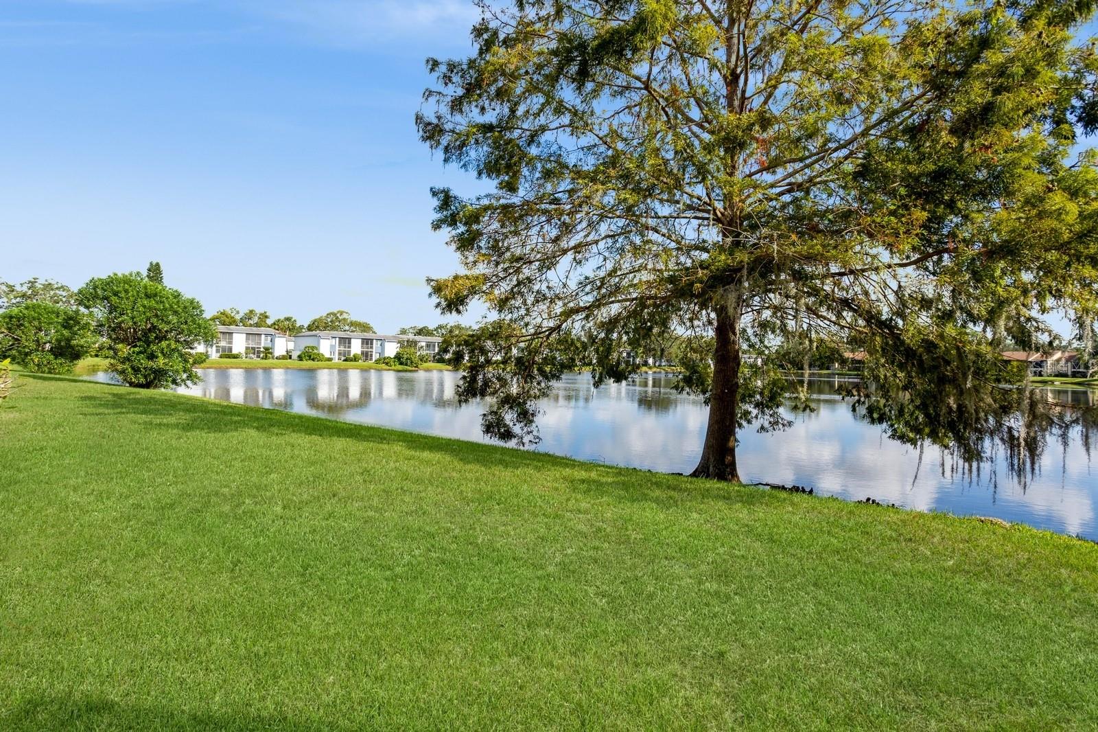 302 WOODLAKE WYNDE #3
