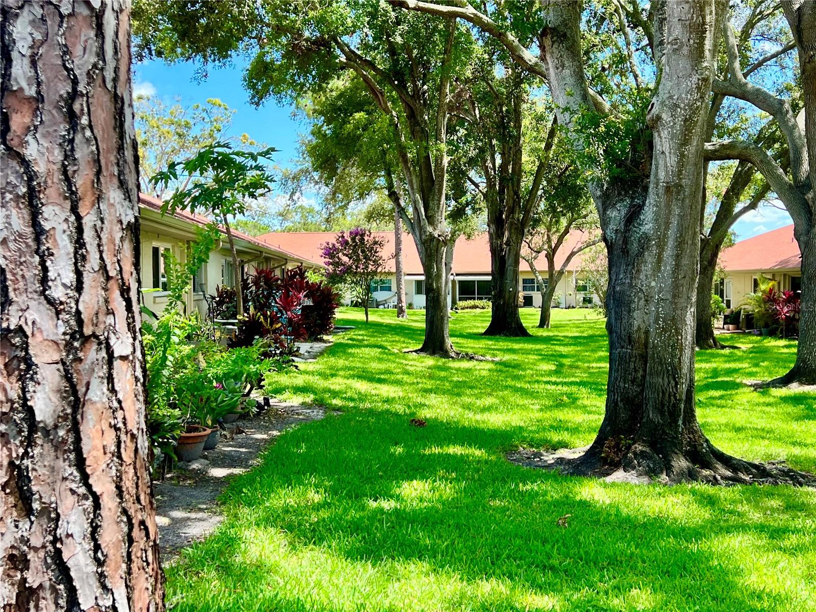 2460 NORTHSIDE DR #708