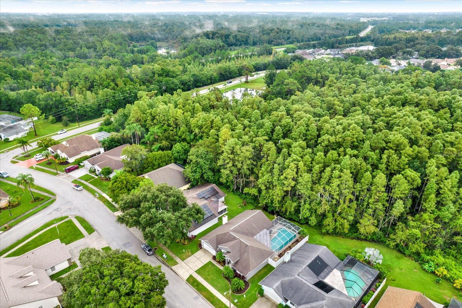 10142 ARROW CREEK RD