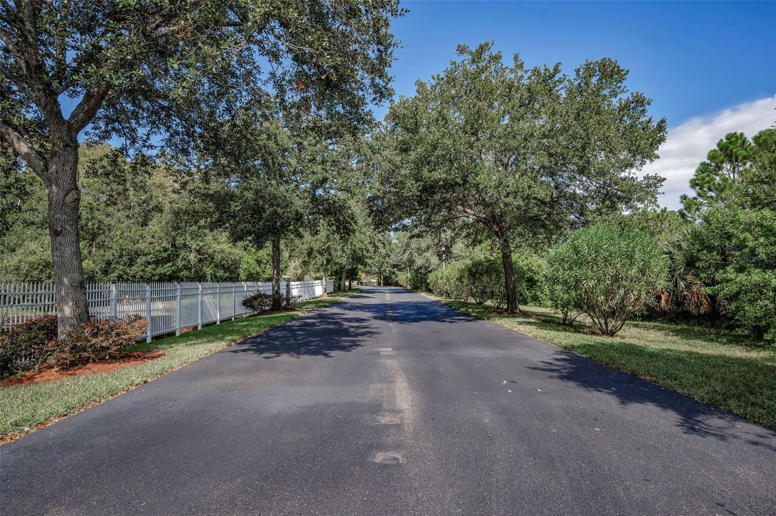 1904 PAW PAW PL