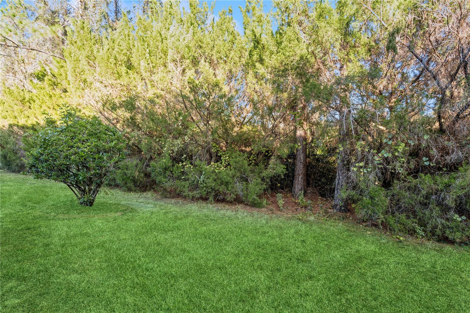 1904 PAW PAW PL
