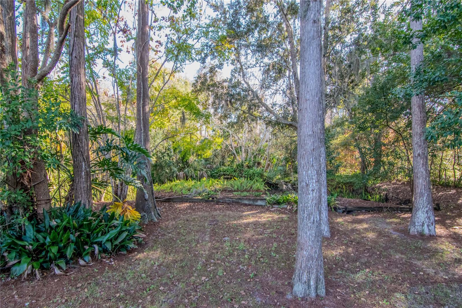 7124 CYPRESS KNOLL DR