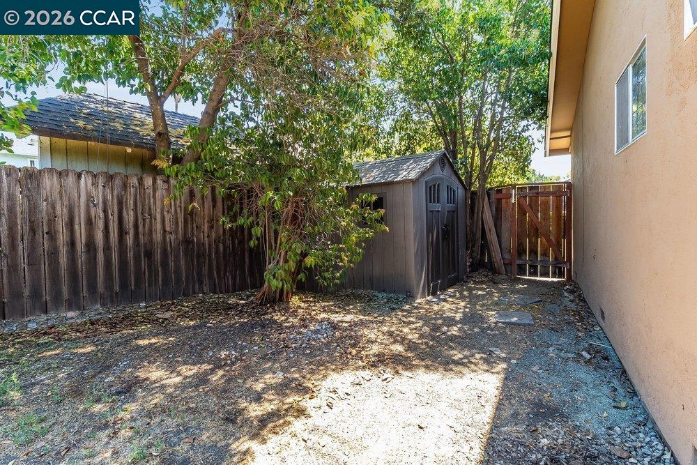 Backyard with a dark storage shed, mature trees, and wooden privacy fence.