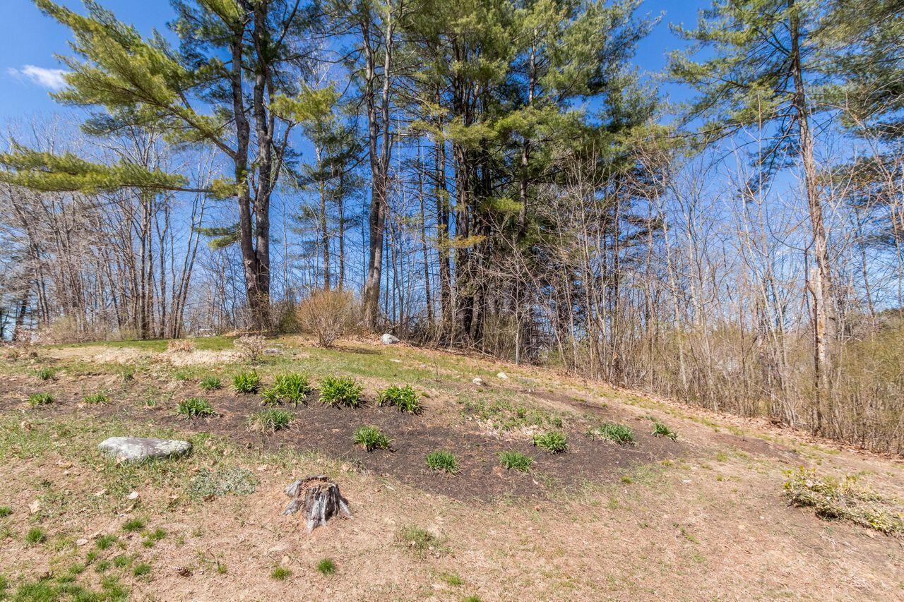 20 Fitzgerald Avenue