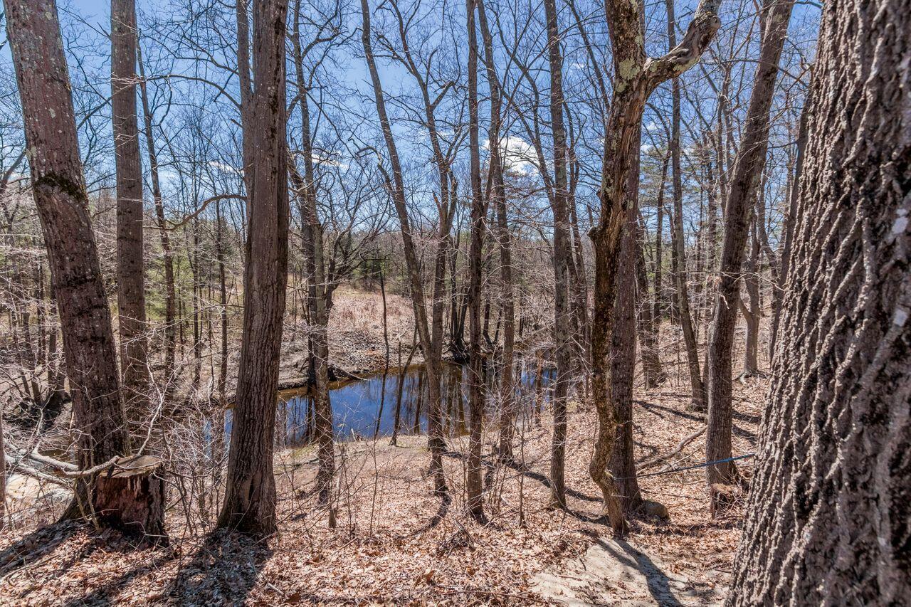 20 Fitzgerald Avenue