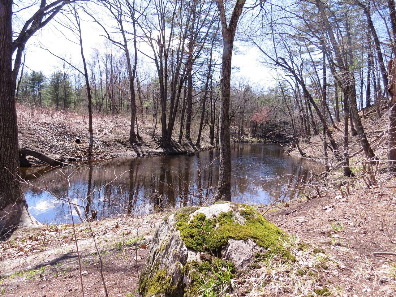 20 Fitzgerald Avenue