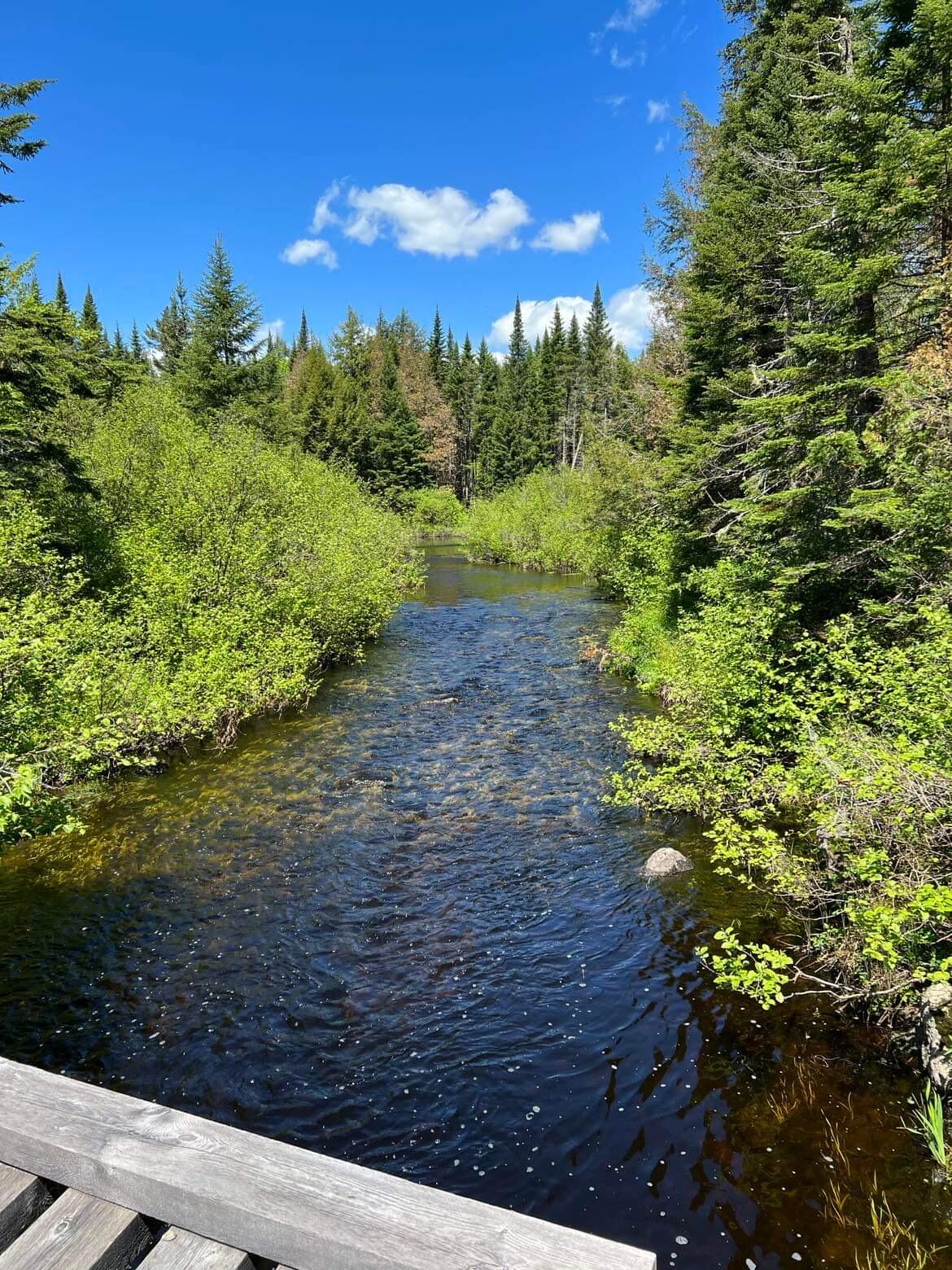 Lot 43 Fire Road